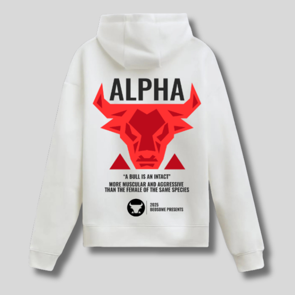 ALPHA Man: Hoodie