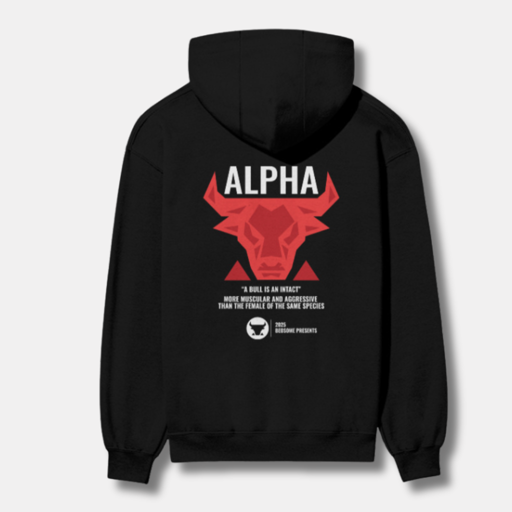 ALPHA Man: Hoodie